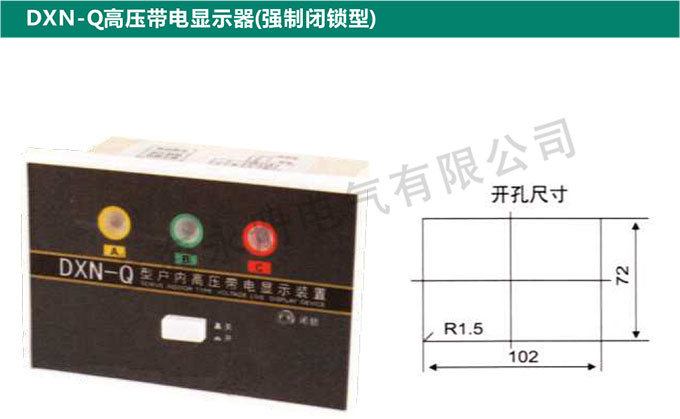 DXN-Q高壓帶電顯示器(強制閉鎖型)